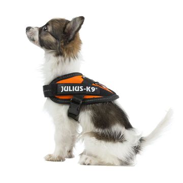 Small harness IDC®Power BABY Julius-K9  dog 0-5 kg