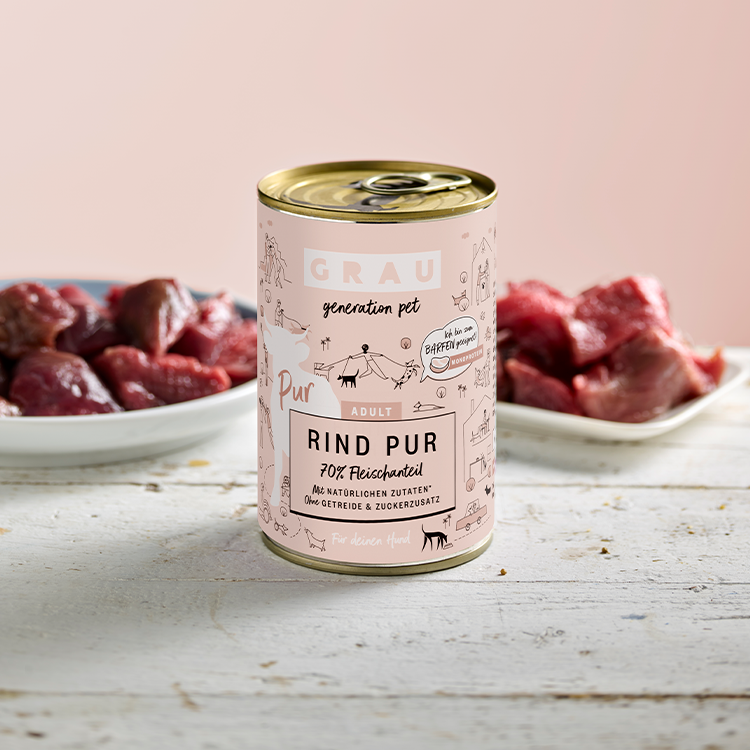 Pâtée pour chiens Boeuf et huile de lin 6 x 400 g