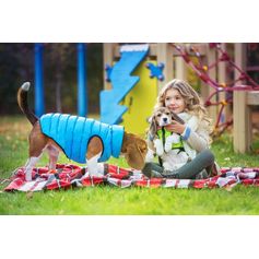 Manteau AiryVest CoLLaR réversible ultra-léger pour chiens actifs