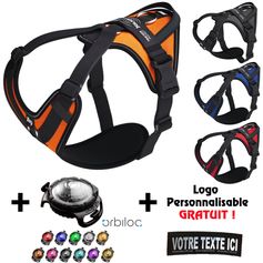 Set mit LED-Lampe + personalisiertes Julius-K9 JK9®Go Geschirr