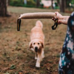 Boudin pour chien en jute ultra-solide à mordre à 2 anses