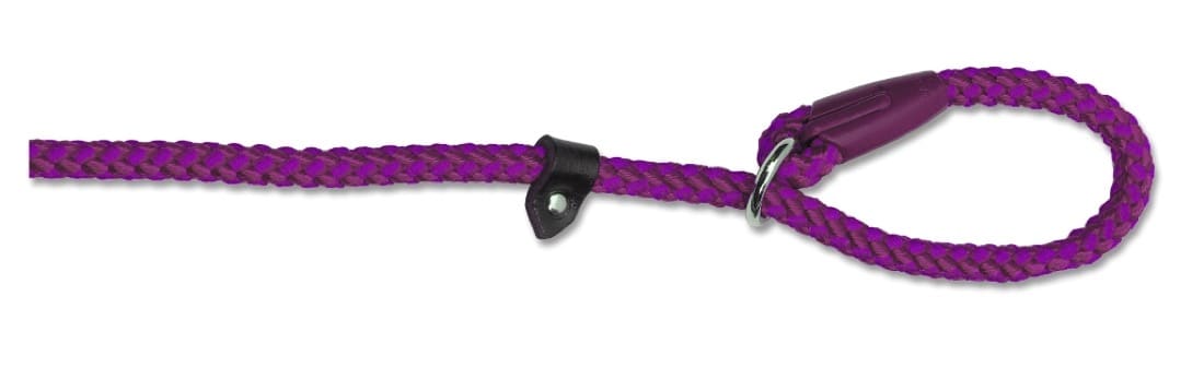 Collier laisse en nylon Ancol 120 cm x 12 mm rose