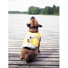 Gilet de sauvetage Hurtta LIFE SAVIOR pour petits chiens <5kg