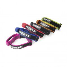 Promotion Set Harness Julius-K9 IDC®Longwalk + orbiloc LED Light