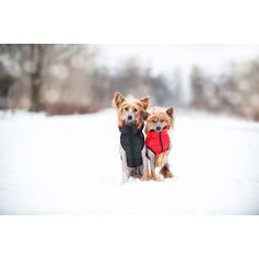 AiryVest CoLLaR reversible ultra-light coat for active dogs