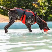 Multifunction 4in1 JK9® Multivest Dog Jacket