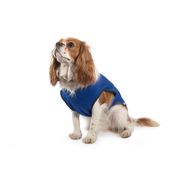 Ancol cooling coat for dogs to keep out the summer heat
