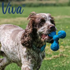 Jouet distributeur de friandises pour chiens Triangle Viva Treat 15 cm