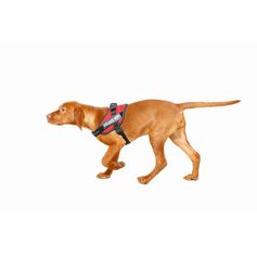 Small Dog Harness harness IDC®Power MINI Julius-K9 for dogs 4-15 kg
