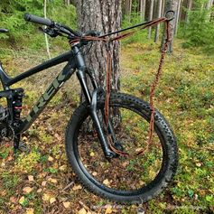 Arctic Wolf bike bar to bike with your dog