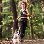 Ceinture de jogging et course JK9® Speed Belt confortable rembourrée