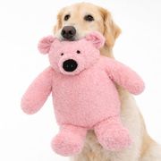 DOGGLES BOTTLE eco-friendly large toy for dogs to recycle bottles