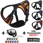 Promotion Set Harness Julius-K9 IDC®Longwalk + orbiloc LED Light