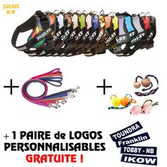 Coffret harnais IDC®Power Julius-K9 + paire de logos au nom du chien OFFERTE !