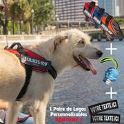 Set with Julius-K9 IDC®Powair summer + dog name logos FREE!