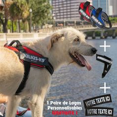 Set with Julius-K9 IDC®Powair summer + dog name logos FREE!