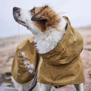 All-weather waterproof coat Hurtta Monsoon ECO for dogs