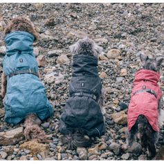 Hurtta Expedition Parka for active dogs