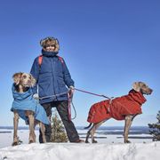 Warm winter coat Hurtta Extreme Warmer for dogs