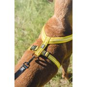 Reflective and padded neoprene Y-harness for large Hurtta dogs