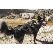 Hurtta X-SPORT traction harness for dogs, black