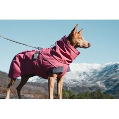 Hurtta Expedition Parka for active dogs