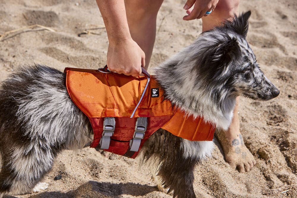 Life Savior ECO Dog Lifejacket for Boat and Swimming