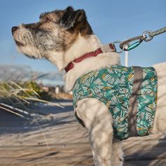Zhero Safety Wrap ECO blue green Hurtta Dog Visibility Jacket