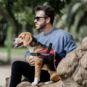 Lightweight cooling IDC®Powair K9 dog harness in mesh