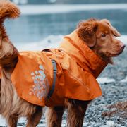 All-weather waterproof coat Hurtta Monsoon for dogs