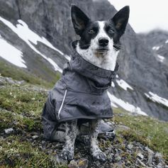 Mudventure ECO imperméable pour chien fin léger Hurtta recyclé
