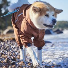 Hurtta Mudventure ECO rain suit for dogs