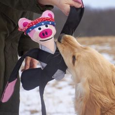 Doggles Pentapull solid pull toy for dogs