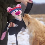 Doggles Pentapull solid pull toy for dogs