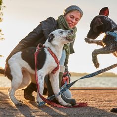 Dog Leash Hurtta Razzle-Dazzle 1,80 m durable and padded