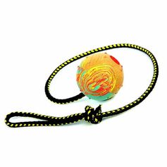 Balle à rapporter avec corde Jouet interactif pour chien de 6 cm