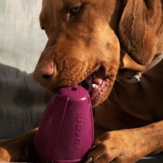 Toy for big dog DOG CONIC game occupation dog ultra solid