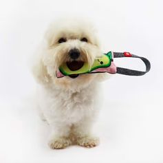 WAUDOG dog pudding toy with squeakers