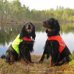 Dog safety vest UKKO reflective vest visibility